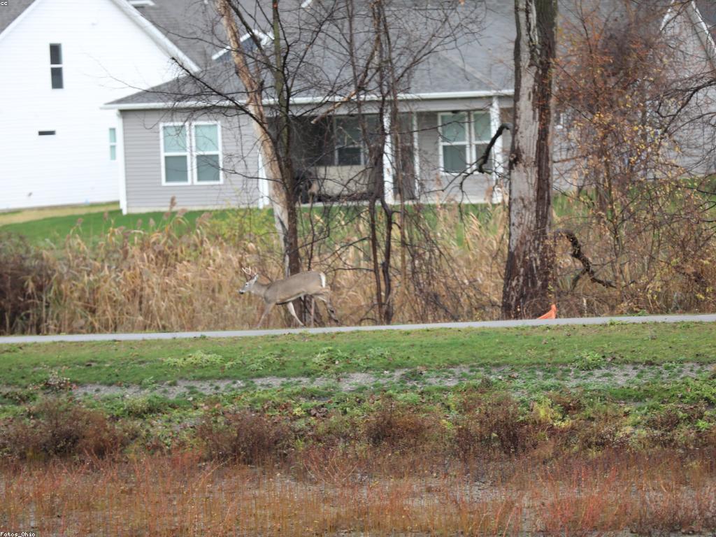 យុទ្ធសាស្ត្រដើម្បីបង្កើនភាពរីករាយក្នុងការលេងហ្គេម