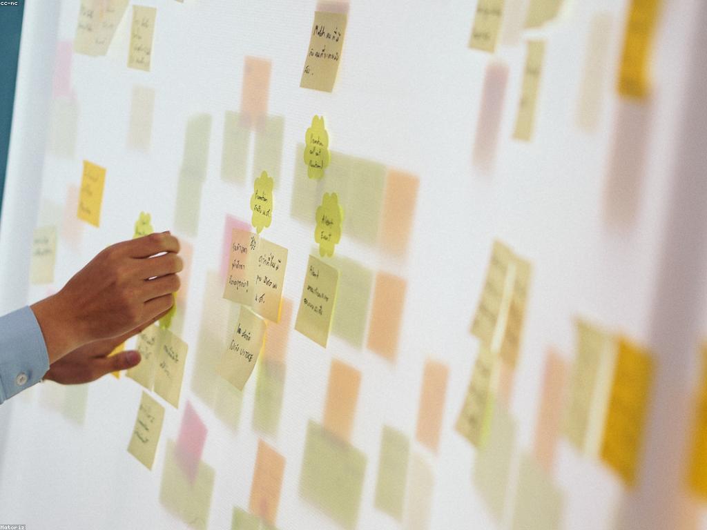 ឱកាសឈ្នះ: របៀបទទួលបានជោគជ័យ